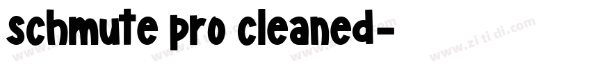 schmute pro cleaned字体转换